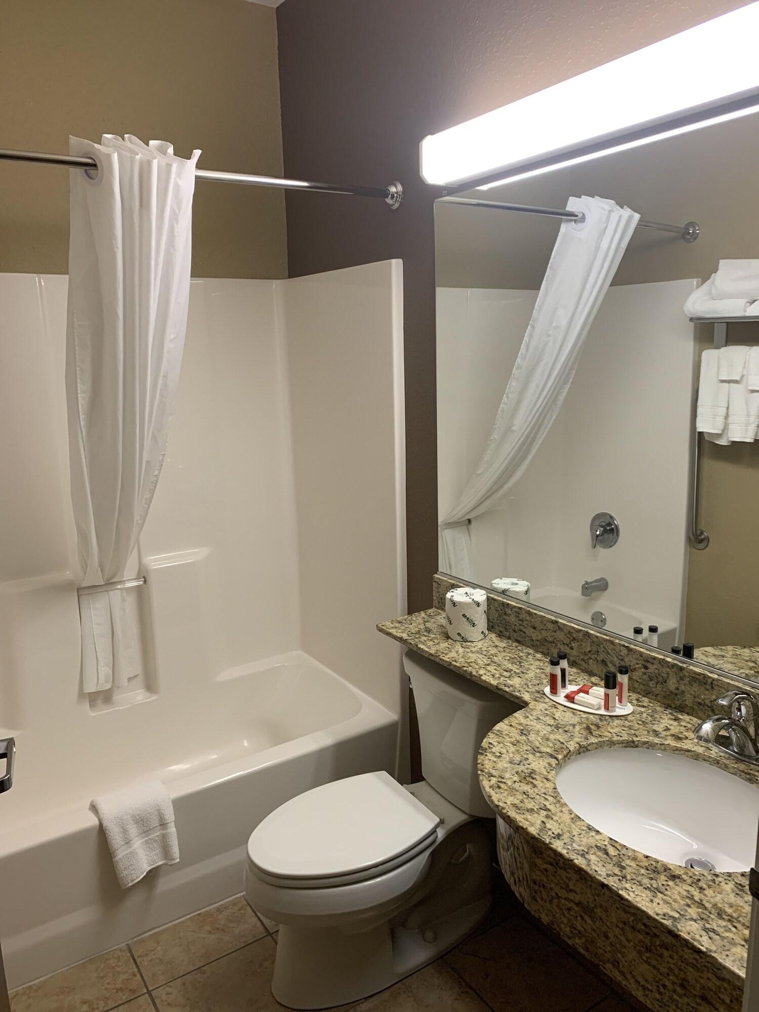 Microtel Inn & Suites-Sayre, Pa Экстерьер фото